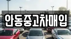 안동중고차매입