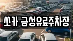 쏘카 금성유료주차장