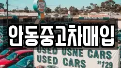 안동중고차매입
