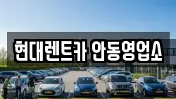 경상북도 안동시 율세동 렌트카,단기렌트카,장기렌트카,중고차,중고차매매,중고차매입