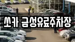 쏘카 금성유료주차장