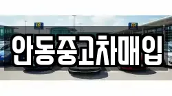 안동중고차매입