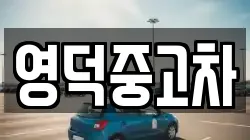 경상북도 영덕군 영덕읍 렌트카,단기렌트카,장기렌트카,중고차,중고차매매,중고차매입