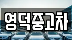 영덕중고차