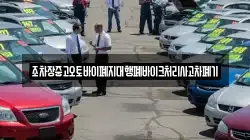 경상북도 영양군 일월면 렌트카,단기렌트카,장기렌트카,중고차,중고차매매,중고차매입