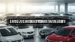 경상북도 영양군 입암면 렌트카,단기렌트카,장기렌트카,중고차,중고차매매,중고차매입