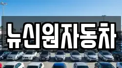 뉴신원자동차