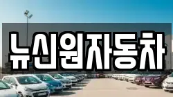 뉴신원자동차