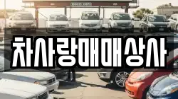 차사랑매매상사