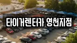 경상북도 영천시 교촌동 렌트카,단기렌트카,장기렌트카,중고차,중고차매매,중고차매입