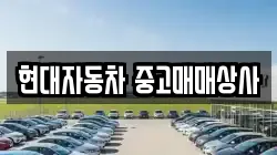 현대자동차 중고매매상사