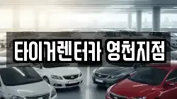 경상북도 영천시 문내동 렌트카,단기렌트카,장기렌트카,중고차,중고차매매,중고차매입