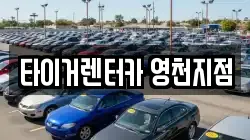 경상북도 영천시 완산동 렌트카,단기렌트카,장기렌트카,중고차,중고차매매,중고차매입
