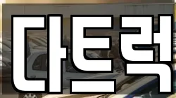 다트럭