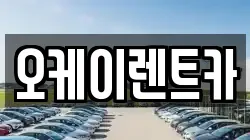 경상북도 영천시 화룡동 렌트카,단기렌트카,장기렌트카,중고차,중고차매매,중고차매입
