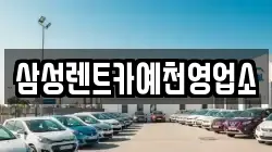 삼성렌트카예천영업소