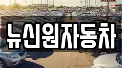 뉴신원자동차