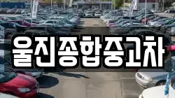 울진종합중고차