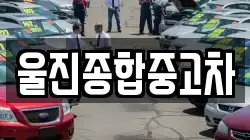 경상북도 울진군 매화면 렌트카,단기렌트카,장기렌트카,중고차,중고차매매,중고차매입