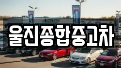 울진종합중고차