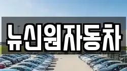 뉴신원자동차