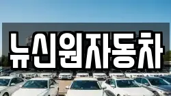 뉴신원자동차