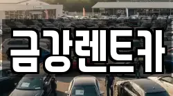 경상북도 청도군 화양읍 렌트카,단기렌트카,장기렌트카,중고차,중고차매매,중고차매입