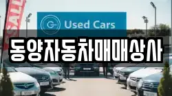 경상북도 청송군 진보면 렌트카,단기렌트카,장기렌트카,중고차,중고차매매,중고차매입