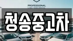 청송중고차