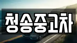 청송중고차