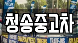 청송중고차