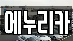 에누리카