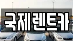 국제렌트카