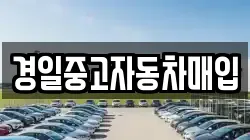 경일중고자동차매입