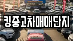 킹중고차매매단지