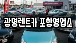 경상북도 포항시 남구 대송면 렌트카,단기렌트카,장기렌트카,중고차,중고차매매,중고차매입