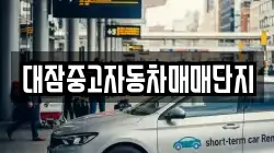대잠중고자동차매매단지