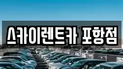 스카이렌트카 포항점