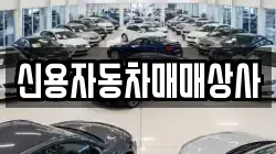 신용자동차매매상사