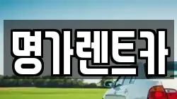 경상북도 포항시 북구 우현동 렌트카,단기렌트카,장기렌트카,중고차,중고차매매,중고차매입