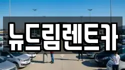 뉴드림렌트카