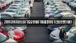 고양이강아지보호소유기묘요양원유기동물파양유기견보호센터쉼터