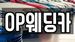 OP웨딩카