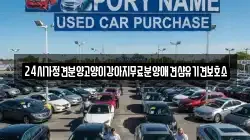 24시가정견분양고양이강아지무료분양애견샵유기견보호소