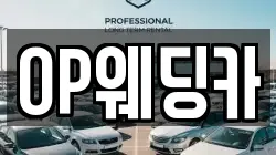 OP웨딩카