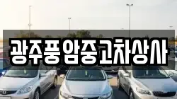 광주광역시 광산구 산막동 렌트카,단기렌트카,장기렌트카,중고차,중고차매매,중고차매입