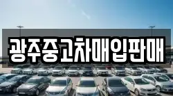 광주중고차매입판매