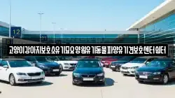 고양이강아지보호소유기묘요양원유기동물파양유기견보호센터쉼터