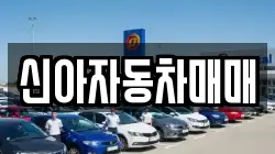 신아자동차매매