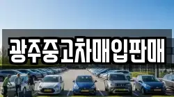 광주중고차매입판매